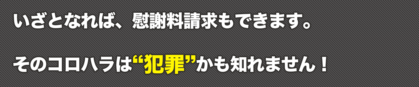 コロハラ嫌がらせコンサルティングの見出し画像です。