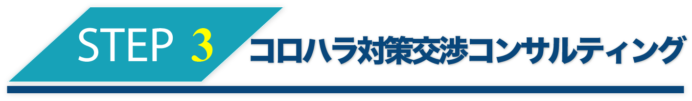 コロハラ嫌がらせコンサルティングの料金ご案内画像です。